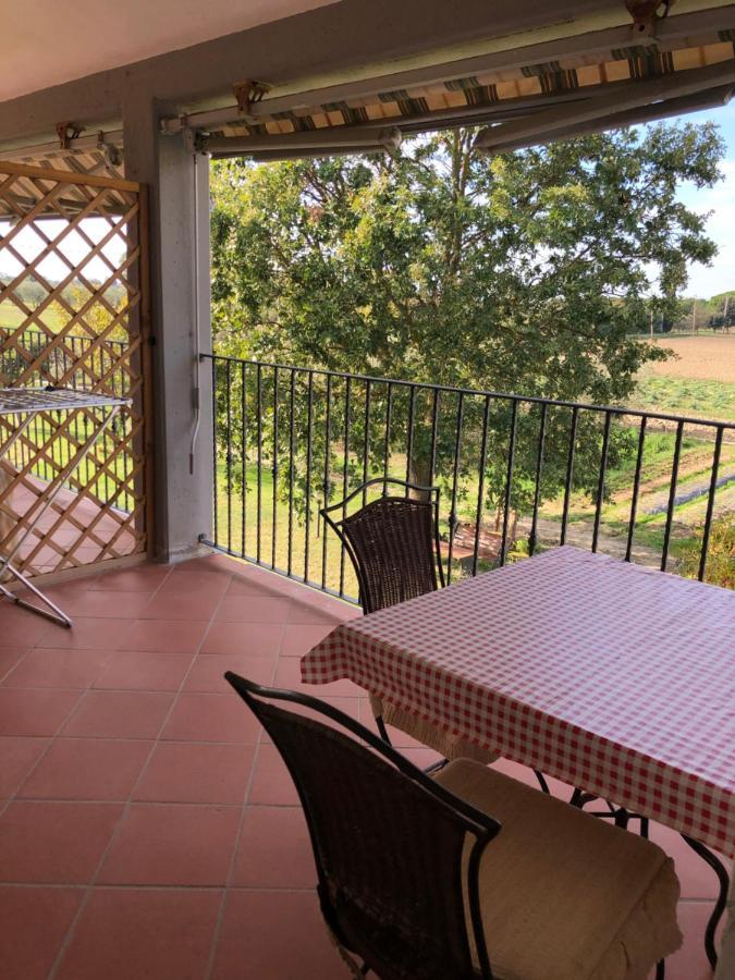 Il Grano Di Bramante Villa Marrucheto Kültér fotó